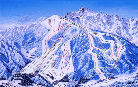 パウダースノーが楽しめる雪質が良いゲレンデ：白馬五竜スキー場