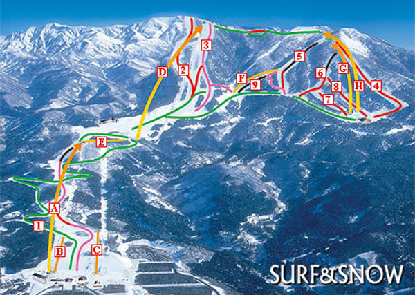 パウダースノーが楽しめる雪質が良いゲレンデ：スキージャム勝山